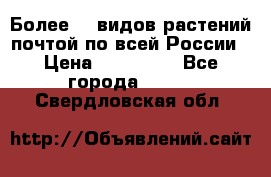 Более200 видов растений почтой по всей России › Цена ­ 100-500 - Все города  »    . Свердловская обл.